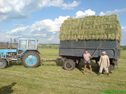 сено, солома в тюках