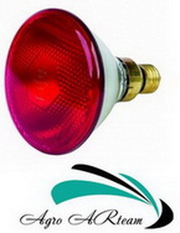     Лампа для обогрева инфракрасная 175 Вт красная (Дания)